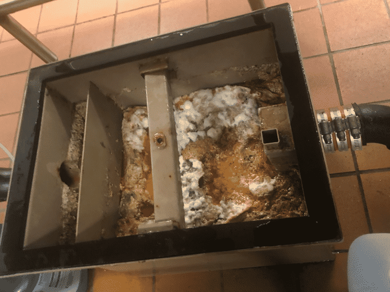 Grease Trap Before Cleaning